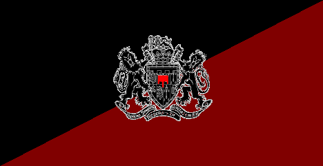fini bandera.bmp